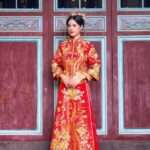 紅色金黃鳳凰浮雕刺繡龍鳳掛